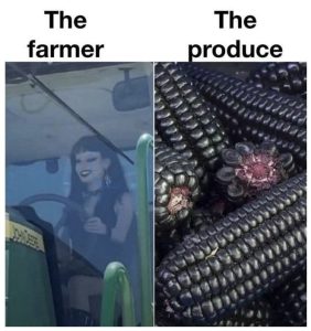 Stupid Bar Memes a6ZRnvqs700b