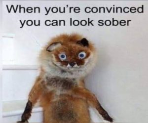 Stupid Bar Memes a7oxVmLss