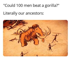 Stupid Bar Memes a87OXNZssb