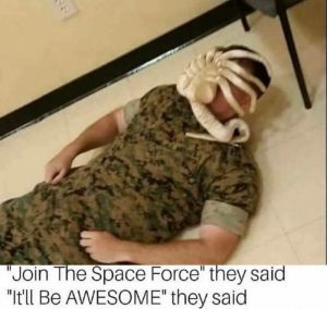 Stupid Bar Memes a9yGX9Zss
