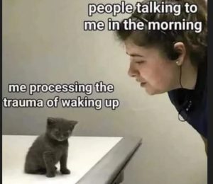 Stupid Bar Memes aBy5BWzssb