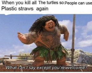 Stupid Bar Memes aD2vAqZssb