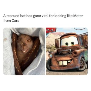 Stupid Bar Memes aD2vDeGs700b