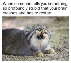 Stupid Bar Memes aE042Mps700b