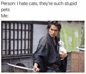 Stupid Bar Memes aGy5qPnssb