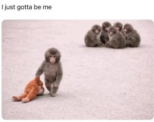 Stupid Bar Memes aO8WPvNss