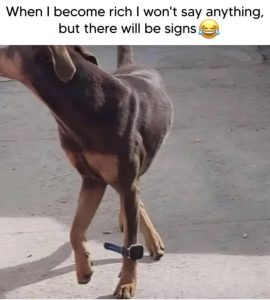 Stupid Bar Memes aW45XwAssb
