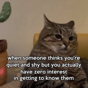 Stupid Bar Memes aXP16Y2ssb