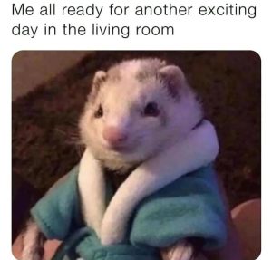 Stupid Bar Memes aXPOALgssb