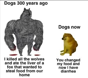 Stupid Bar Memes aXPOdWgss