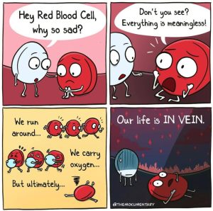 Stupid Bar Memes aYQ0R0wss