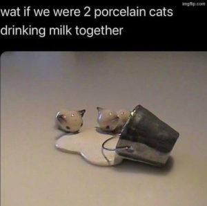 Stupid Bar Memes aZZYQ10s700b