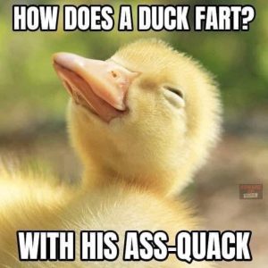 Stupid Bar Memes abAwoMbssb