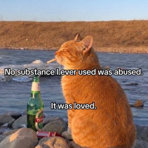 Stupid Bar Memes adBznwDss