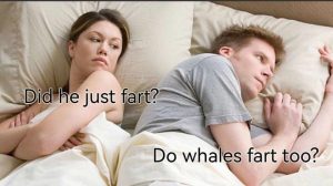 Stupid Bar Memes agmeyQwssb