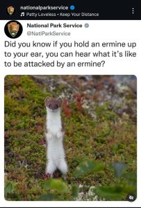 Stupid Bar Memes amowEVVssb