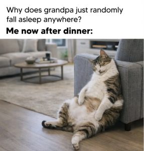 Stupid Bar Memes amowewvssb
