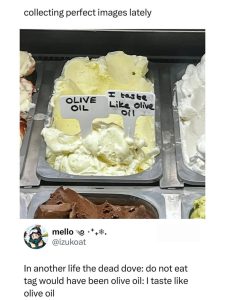 Stupid Bar Memes an7o9q0s700b