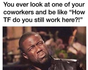 Stupid Bar Memes an7oeWqssb