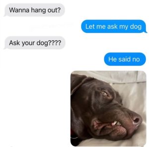 Stupid Bar Memes an7wm0ossb