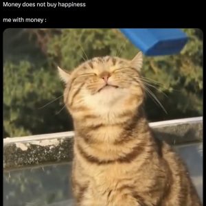 Stupid Bar Memes aoywwLessb