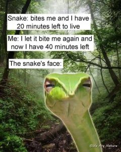 Stupid Bar Memes apRM9rbs700b