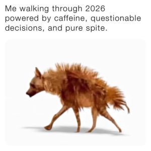 Stupid Bar Memes aqyEKMjs700b