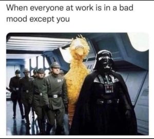 Stupid Bar Memes arywDNXssb