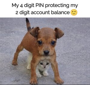 Stupid Bar Memes avyj9KMss
