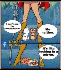 Stupid Bar Memes ayNKRMVss