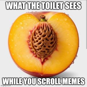 Stupid Bar Memes ayNwwMqssb