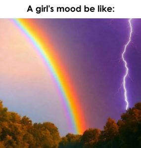 Stupid Bar Memes azx329xs700b