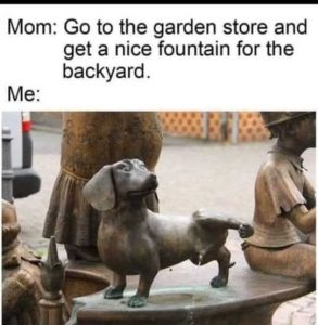 Stupid Bar Memes dainsfor