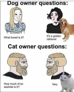 Stupid Bar Memes eedscatsah