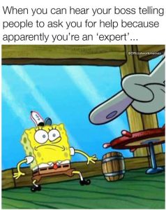 Stupid Bar Memes i812911