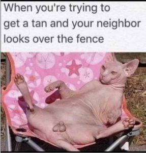 Stupid Bar Memes i818695