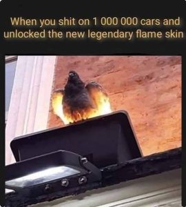 Stupid Bar Memes im470628