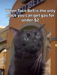 Stupid Bar Memes im47063817