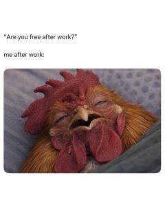 Stupid Bar Memes im8529699