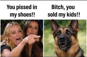 Stupid Bar Memes im928813