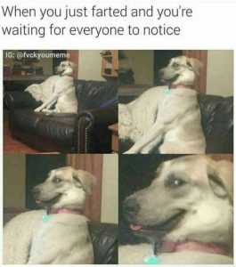 Stupid Bar Memes ima20368
