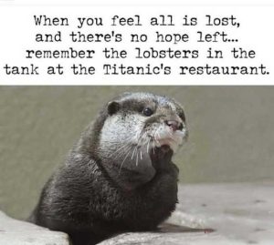 Stupid Bar Memes ima703501004