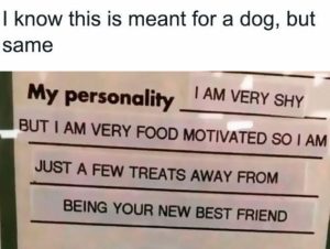 Stupid Bar Memes images1773710463147