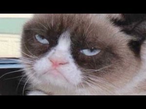 Stupid Bar Memes jhy67928