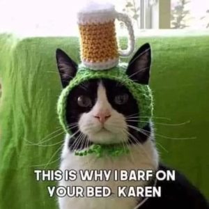 Stupid Bar Memes st0317