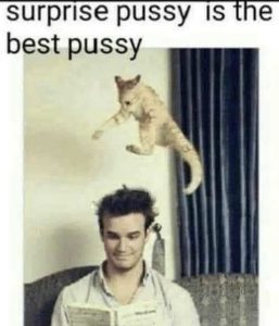 Stupid Bar Memes surprap
