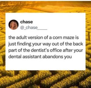 Stupid Bar Memes xsaazesdoc