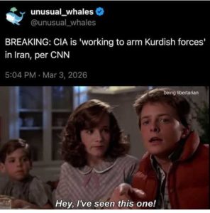 Stupid Bar Memes xscition