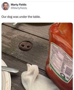 Stupid Bar Memes xsdhole