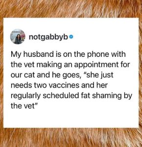 Stupid Bar Memes xtsva